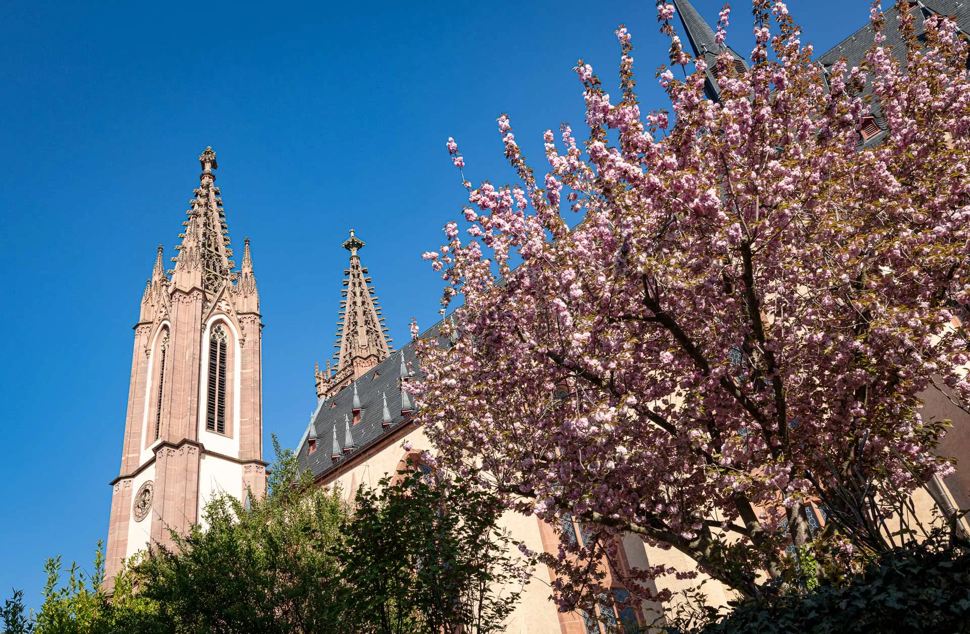 Grossformatige Pastelle im Rheingauer Dom